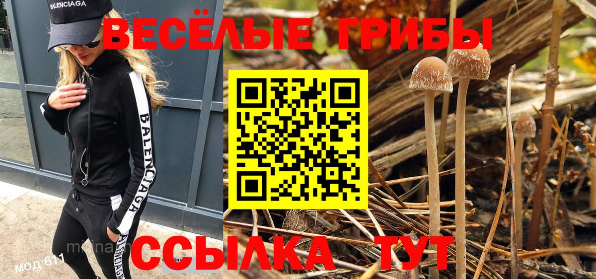 Галлюциногенные грибы Psilocybine cubensis Старая Купавна